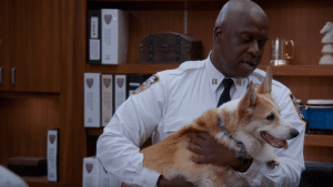 cheddar chu cho corgie trong brooklyn nine nine