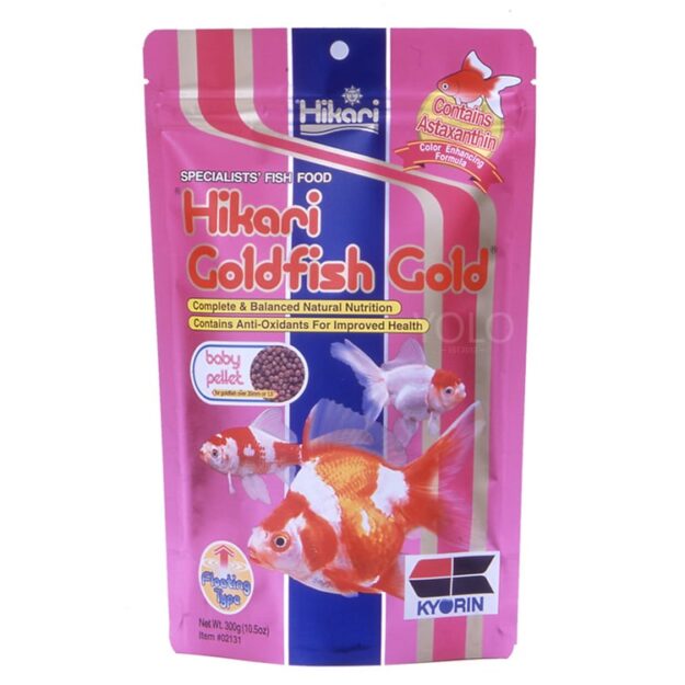 hinh san pham hikari goldfish gold baby