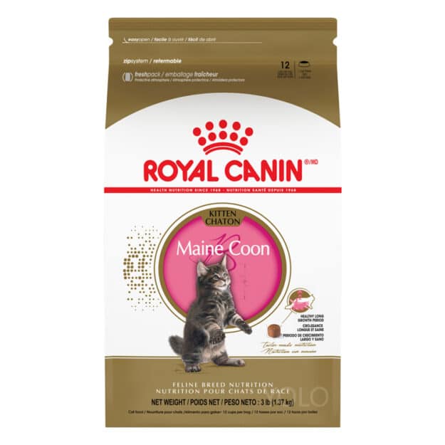 hinh san pham royal canin maine coon kitten