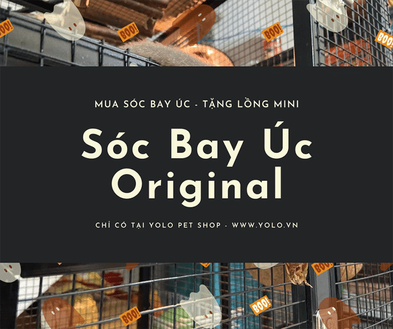 mua soc bay baby tang long mini