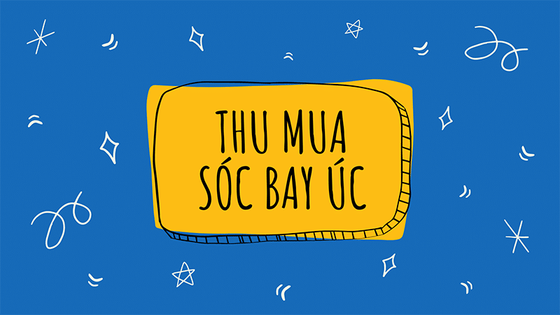 thu mua soc bay uc so luong lon