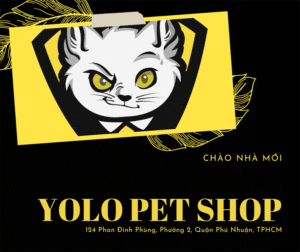 yolo pet shop huynh van banh chuyen ve nha moi