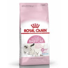 hinh san pham royal canin mother babycat