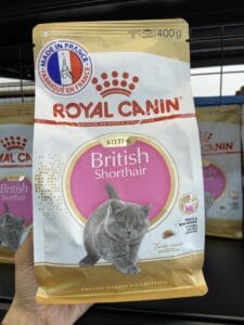 mua thuc an cho meo royal canin tai tphcm 3 20