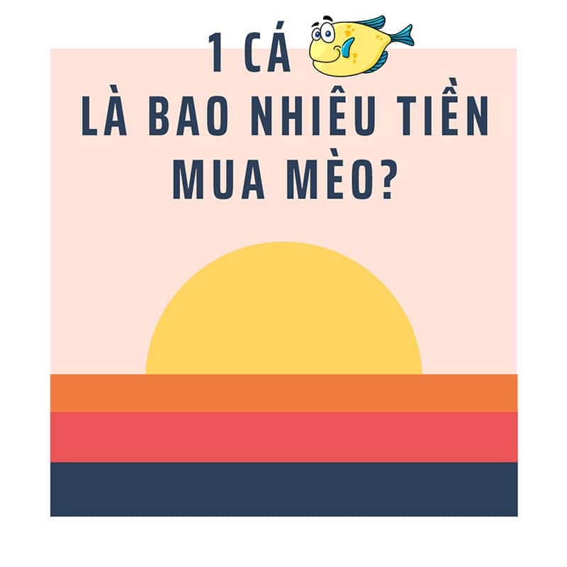 1 ca la bao nhieu tien mua meo