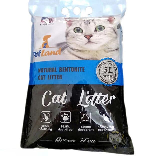 cat meo petland huong tra xanh green tea