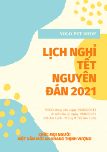 lich nghi tet nguyen dan 2021 yolo pet shop