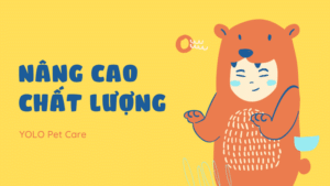 nang cao chat luong yolo pet cremation