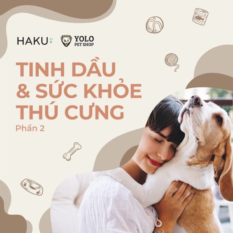 tinh dau thu cung haku yolo 20